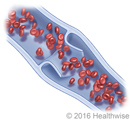 Red blood cells