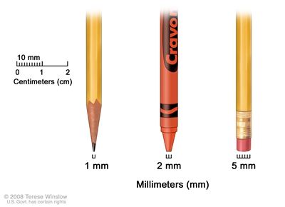 Millimeters; drawing shows millimeters (mm) using everyday objects. A sharp pencil point shows 1 mm, a new crayon point shows 2 mm, and a new pencil-top eraser shows 5 mm.