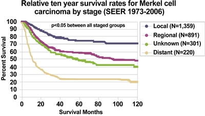 MerkelCell